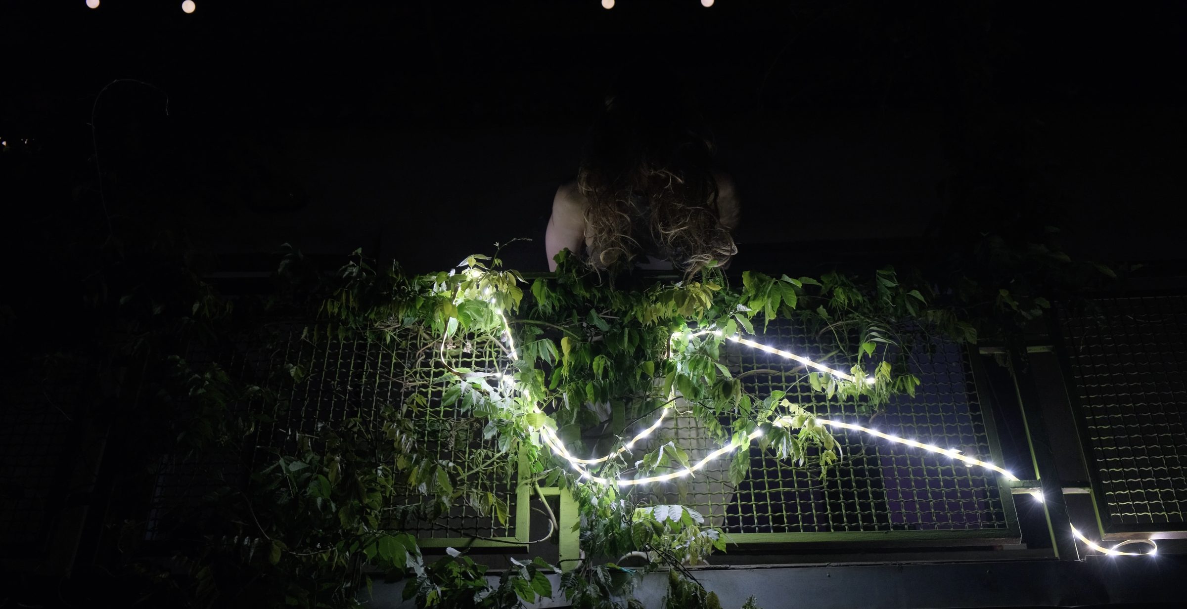 A performer behind a vine-covered fence lit by a strip of white light at Mkholod Ak