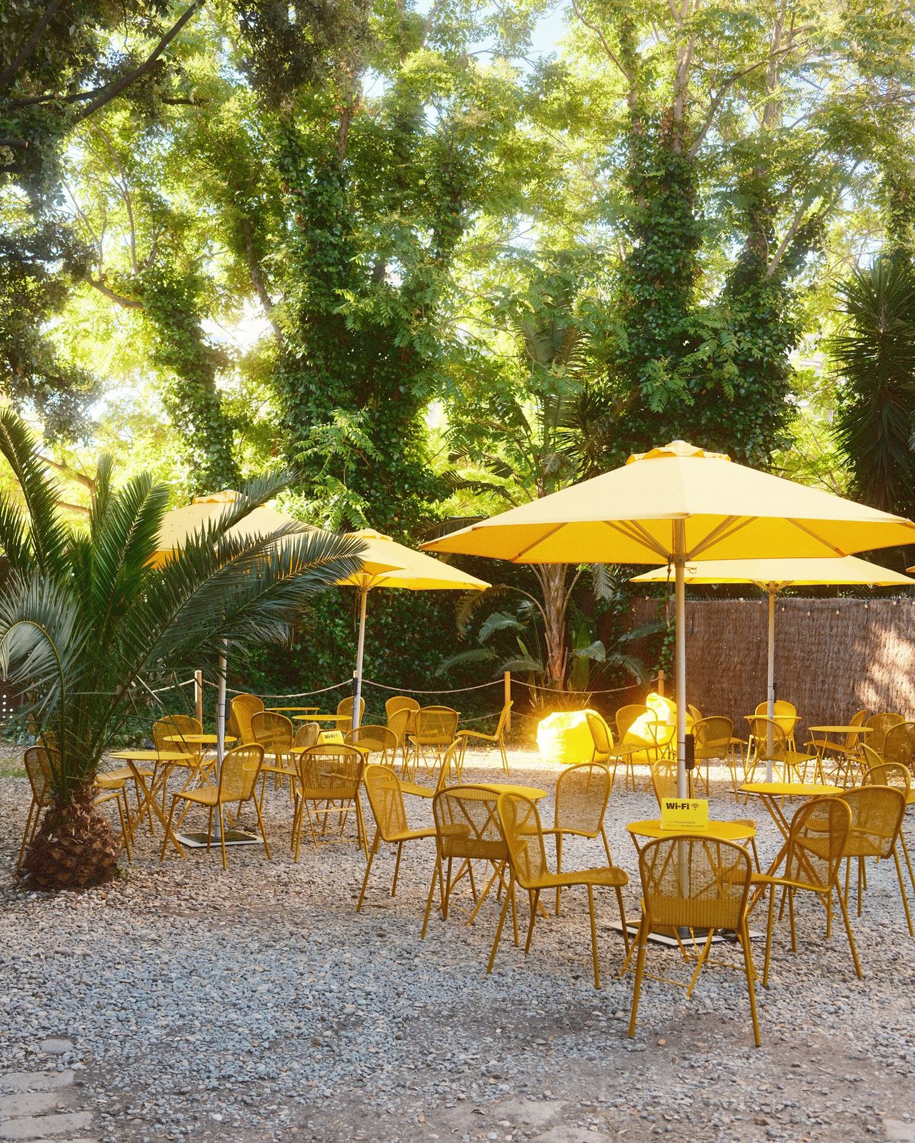 Yellow parasols and chairs in a shaded garden